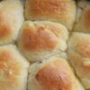 Vegan Yeast Rolls