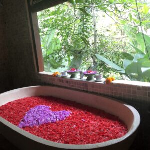 Bali Botanica Day Spa