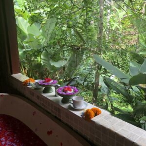 Bali Botanica Day Spa