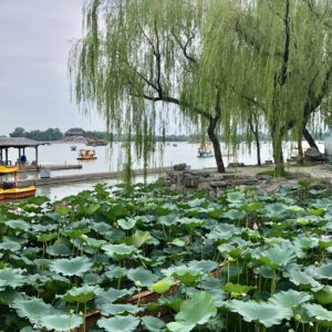 Summer Palace