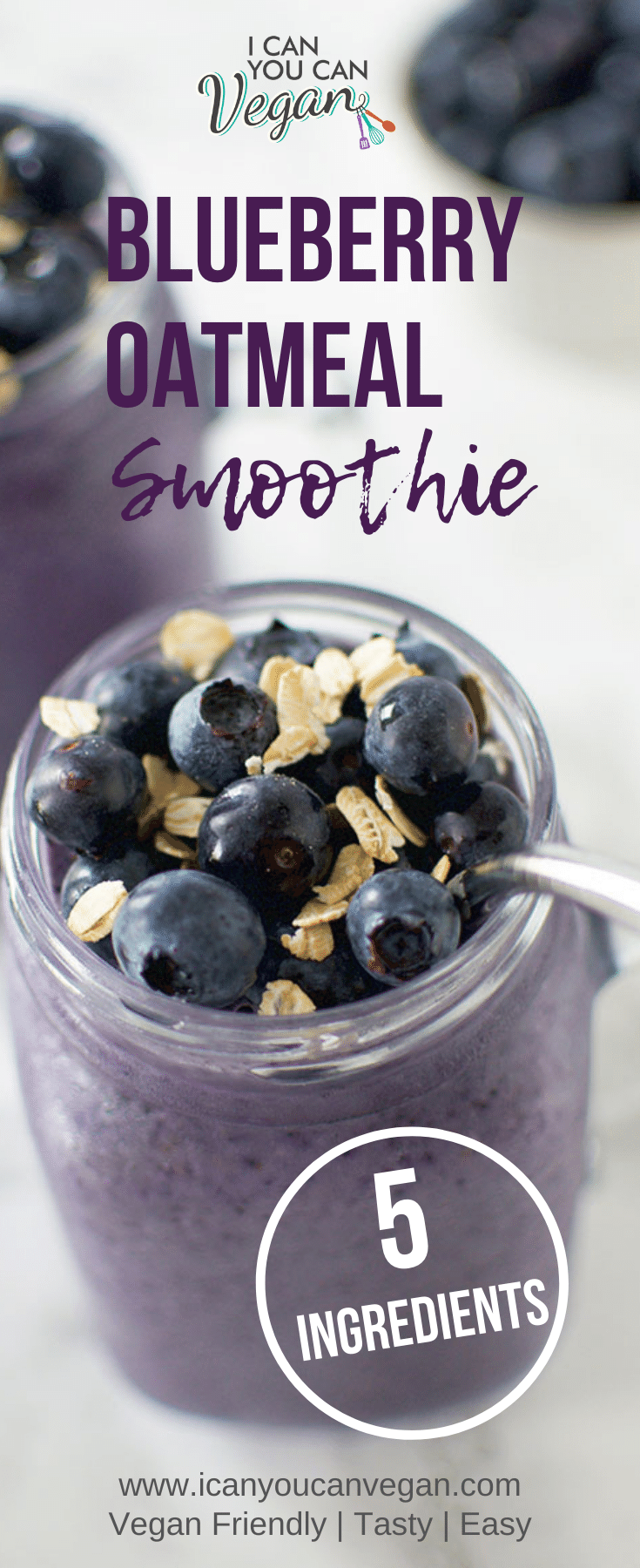 Blueberry Oatmeal Smoothie-Pinterest