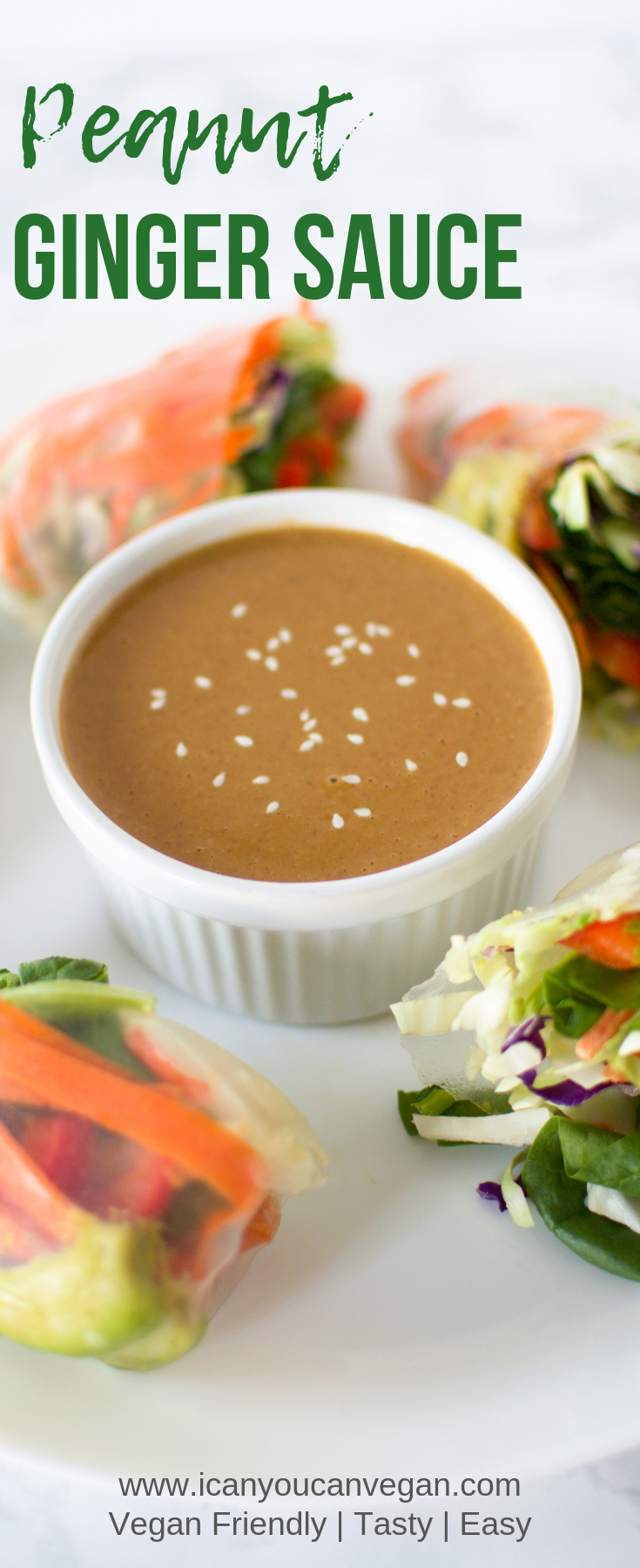 Peanut Ginger Sauce