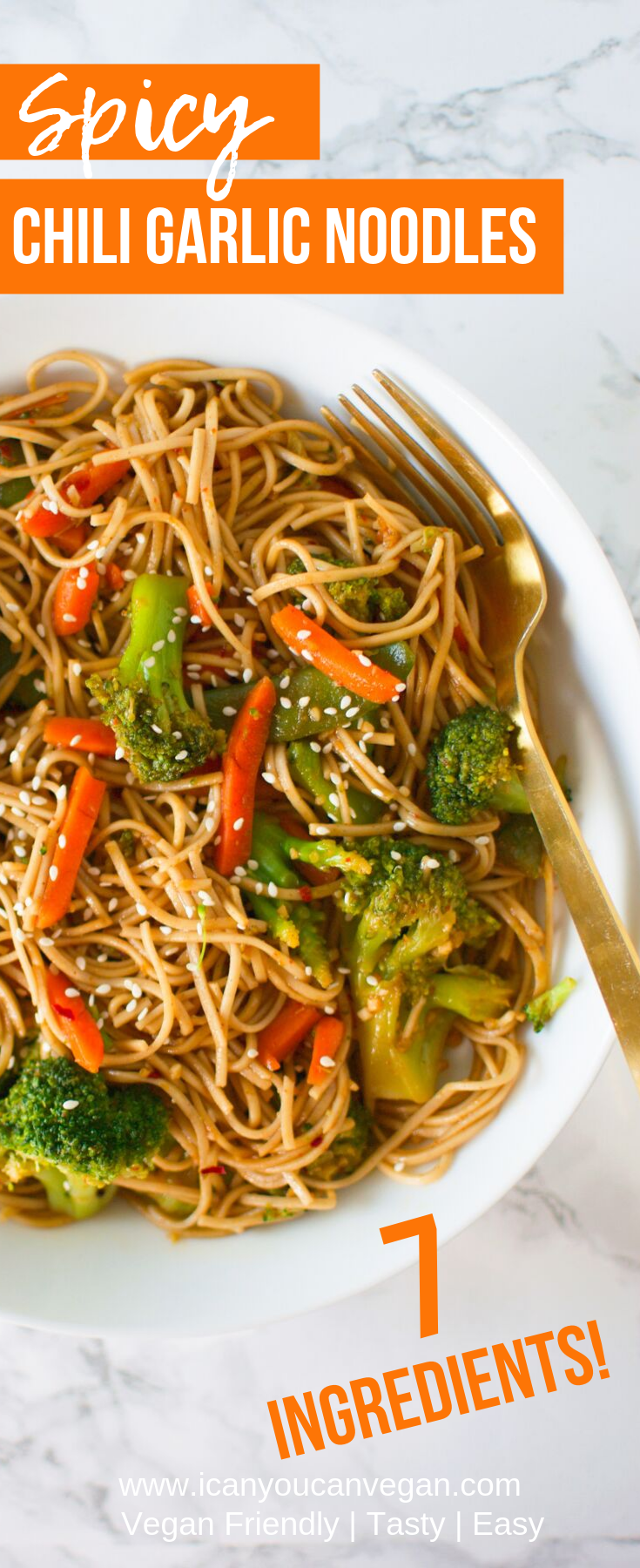 Spicy Chili Garlic Noodles
