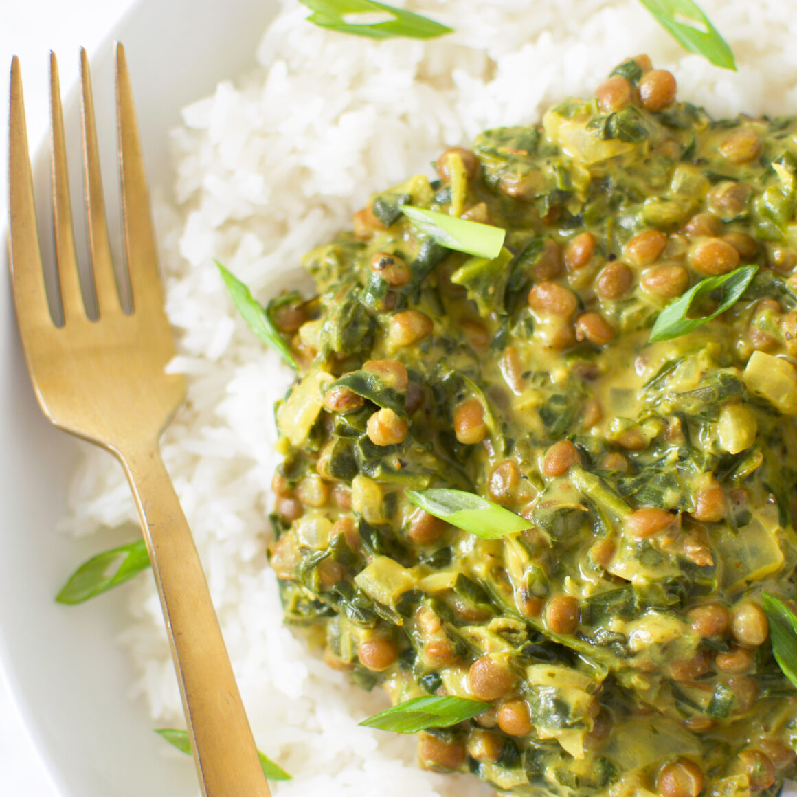 Lentil + Spinach Curry ICanYouCanVegan ICanYouCanVegan Lentil