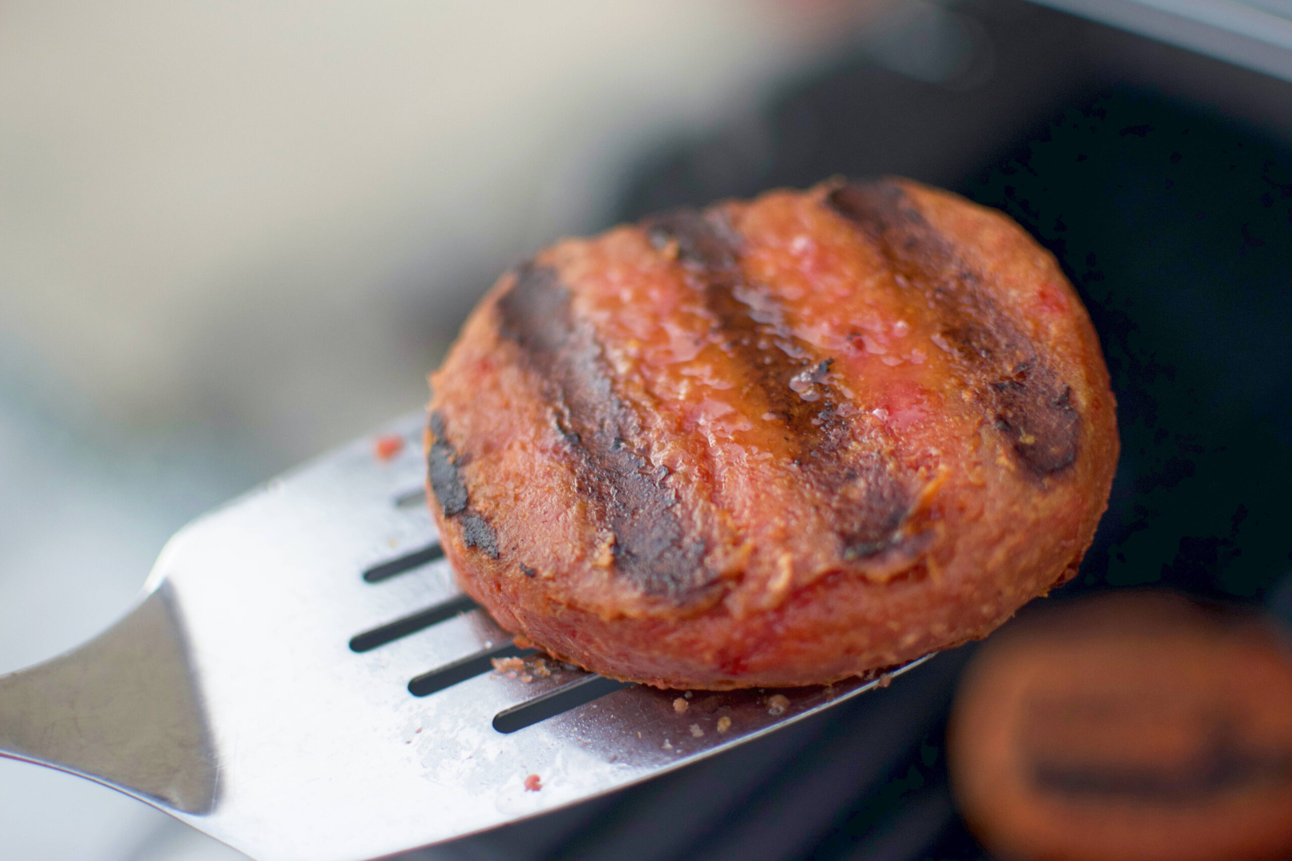 Trader Joe's Protein Patties Burger Grilled