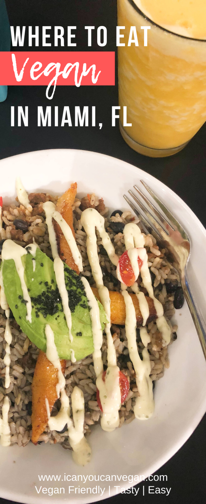 Miami Vegan Food I Can You Can Vegan ICanYouCanVegan Miami Vegan Food