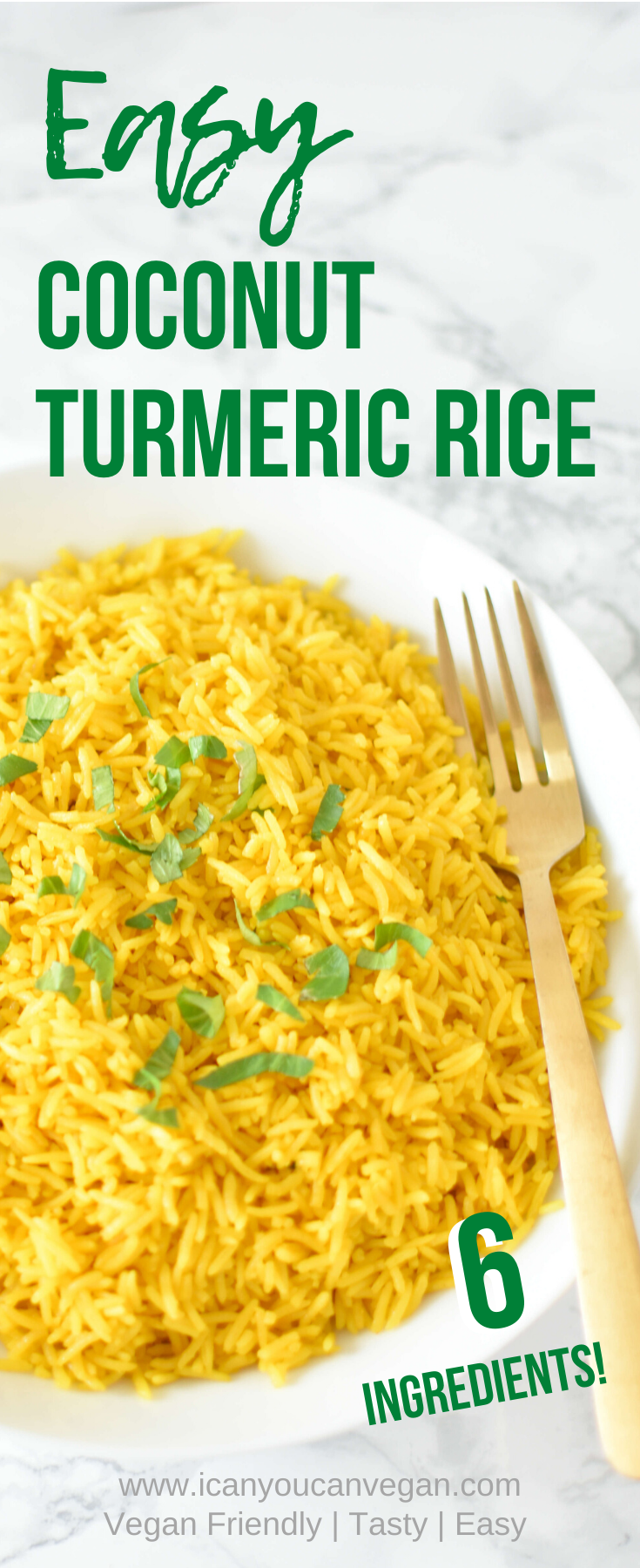 Coconut Turmeric Rice