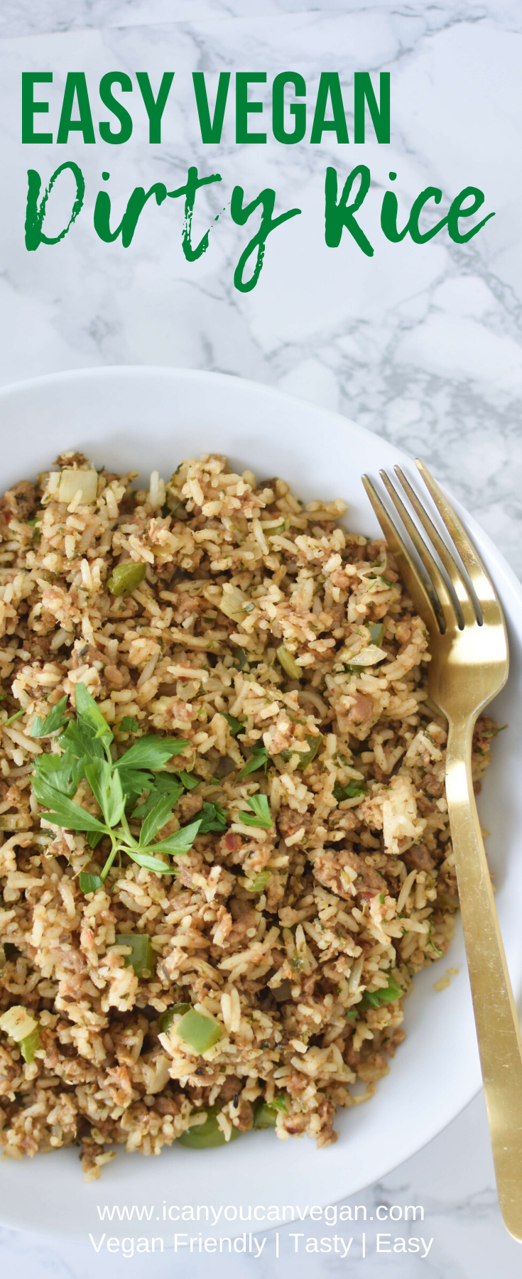 Vegan Dirty Rice