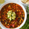 Vegan Tortilla Soup