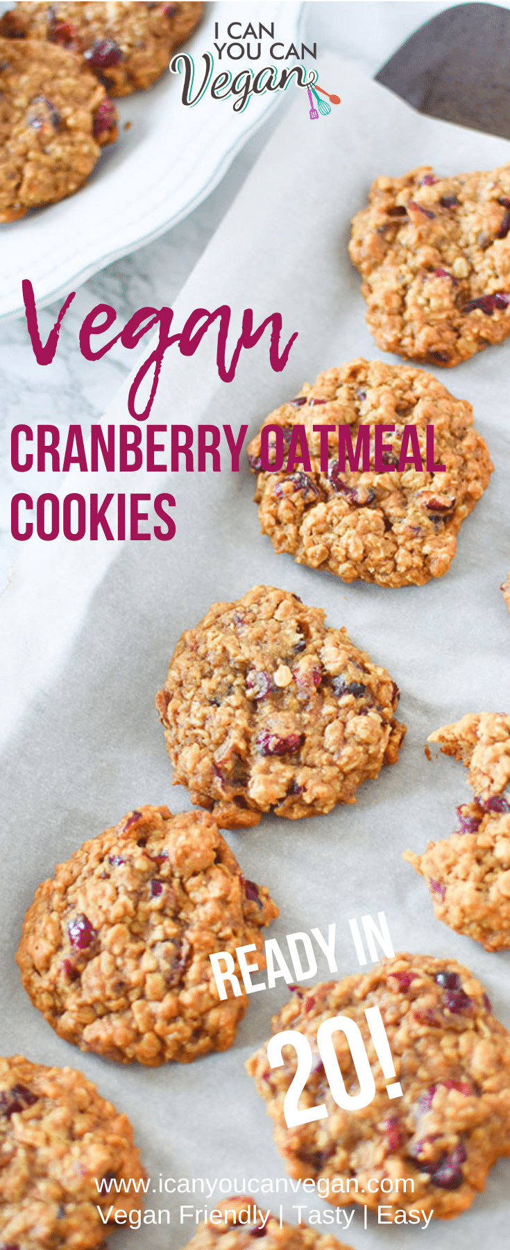 Vegan Cranberry Oatmeal Cookies