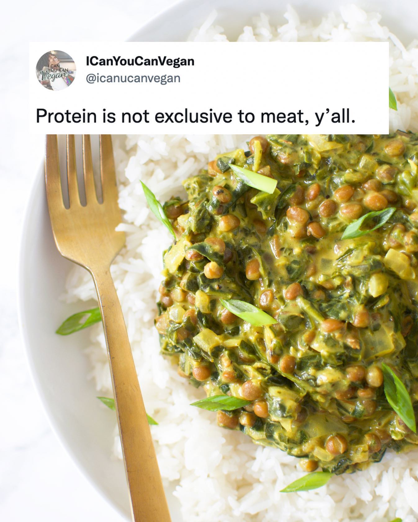 Welcome to Veganuary y’all! If your new to the vegan life, one of the questions you’ll undoubtedly get is “where do you get your protein from?”

Contrary to popular belief, protein can be found in lots of foods outside of meat. Like lentils for example. 1 cooked cup of lentils has 18 grams of protein in it!🙌🏾 Spinach contains protein too, which makes this Lentil Spinach Curry FULL of protein!

What are your fav plant-based proteins? My favs will always be tofu, beans and oats 😋

Get the recipe for this Spinach Lentil curry on the blog! Link in bio!

www.icanyoucanvegan.com/lentil-spinach-curry/